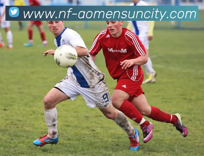 企业概况